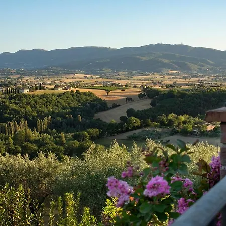 An Enjoyable Stay At Villa Nelly Villa *